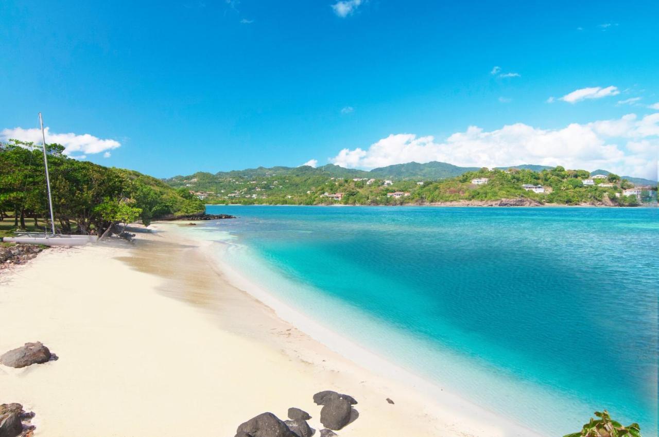 473 Grenada Boutique Resort St. George's Екстериор снимка