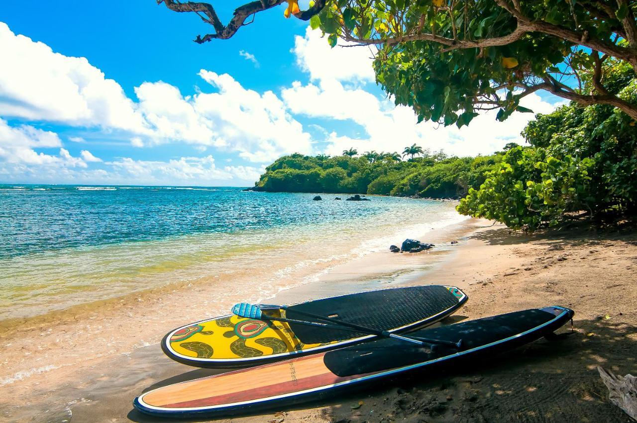 473 Grenada Boutique Resort St. George's Екстериор снимка
