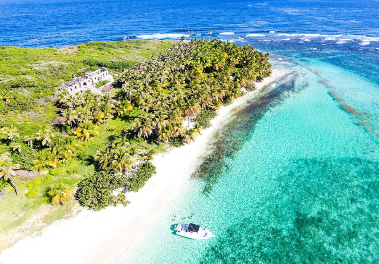 473 Grenada Boutique Resort St. George's Екстериор снимка